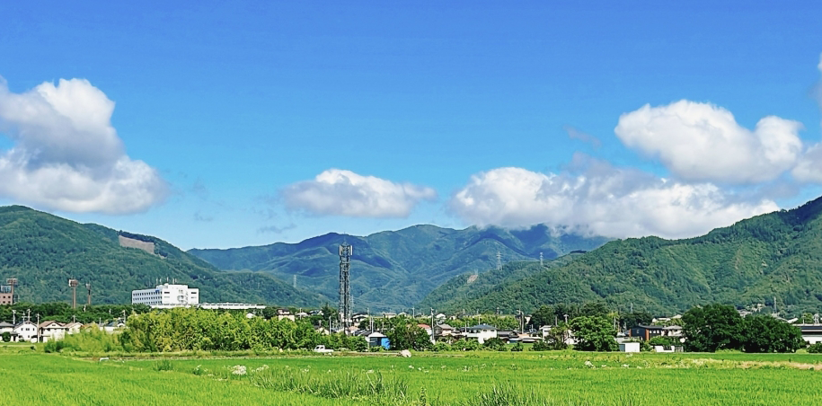 田園風景の写真